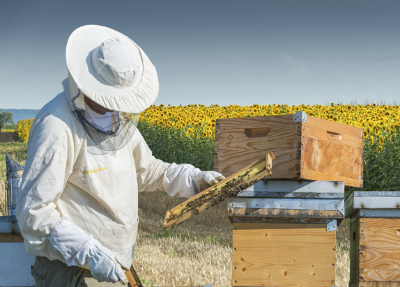 Beekeeping Products